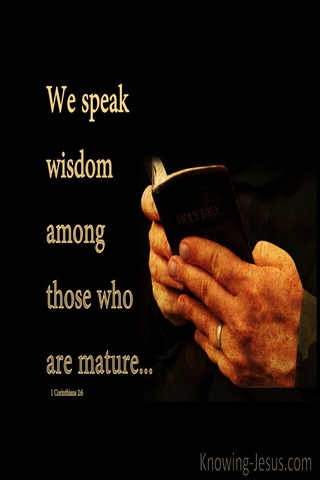 1 Corinthians 2:6 Speaking Wisdom Among The Mature (beige)